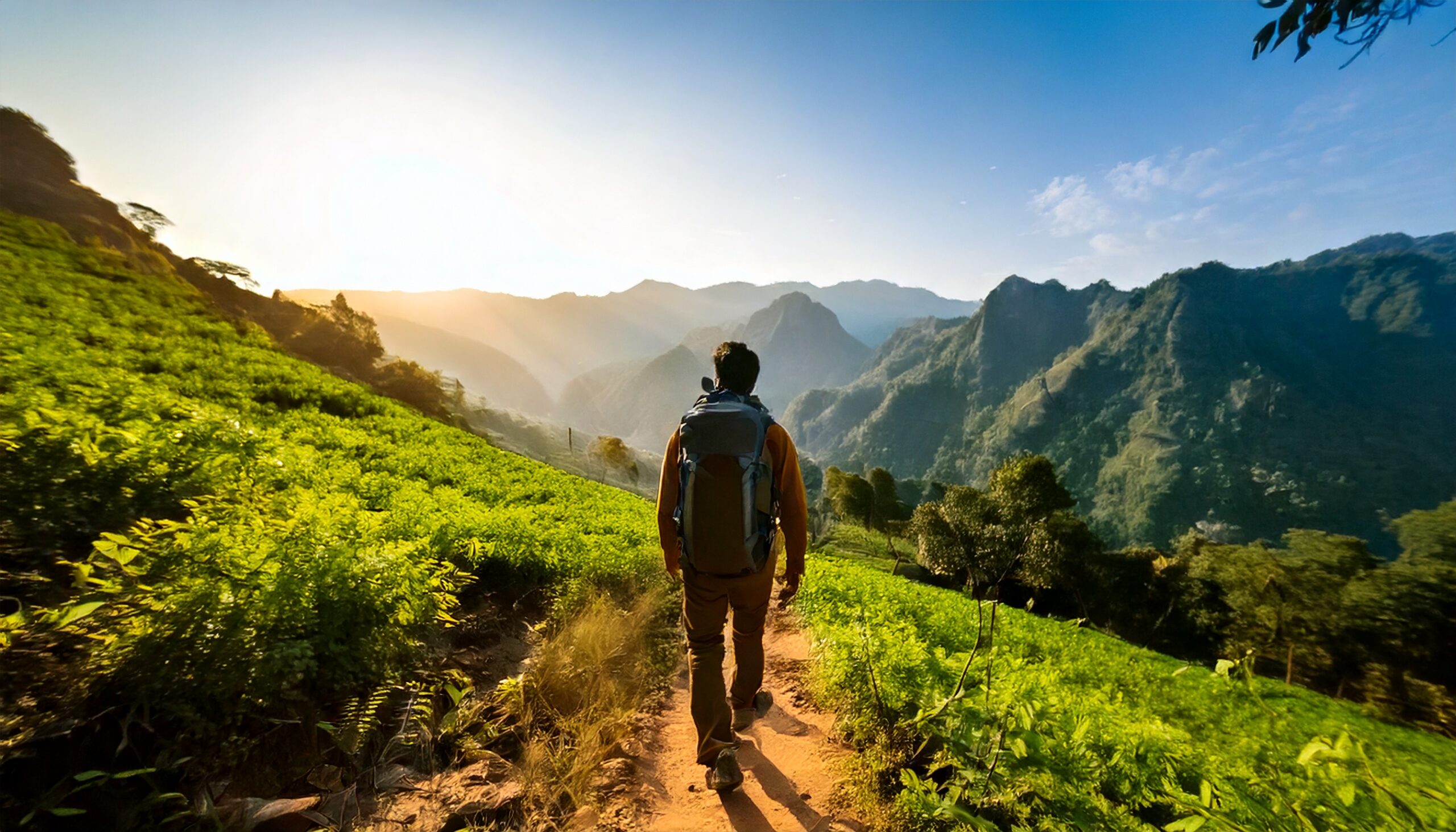 “Ultimate Adventurer’s Guide: Epic Hiking Trails Across India!”